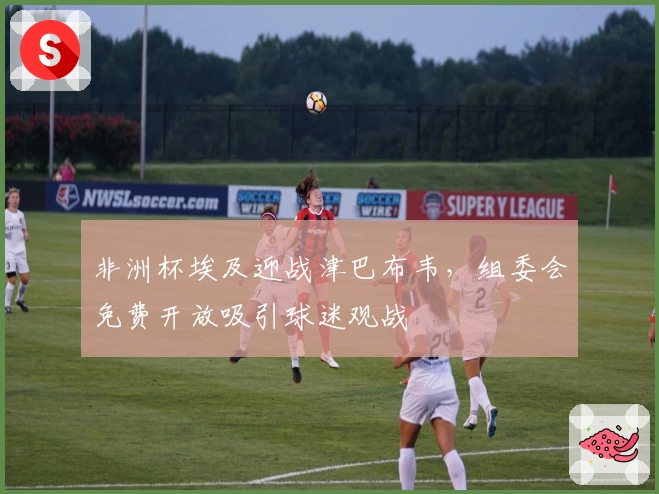 非洲杯埃及迎战津巴布韦，组委会免费开放吸引球迷观战