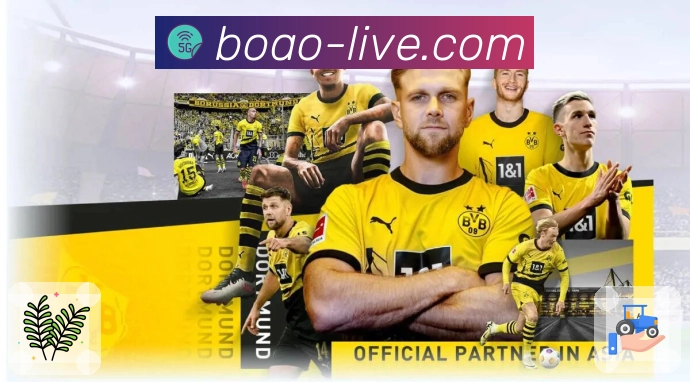 全领域服务体系